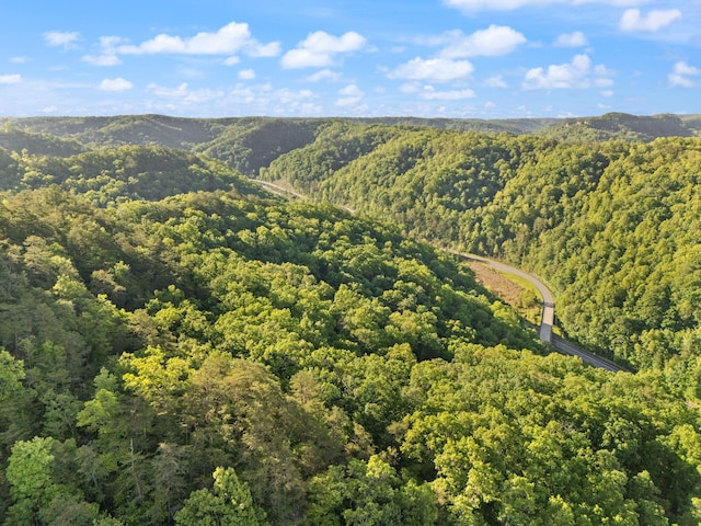 12332 Campton Rd, Stanton, KY 40380