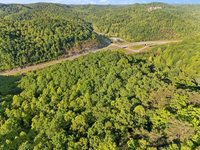 12332 Campton Rd, Stanton, KY 40380