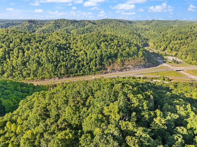 12332 Campton Rd, Stanton, KY 40380