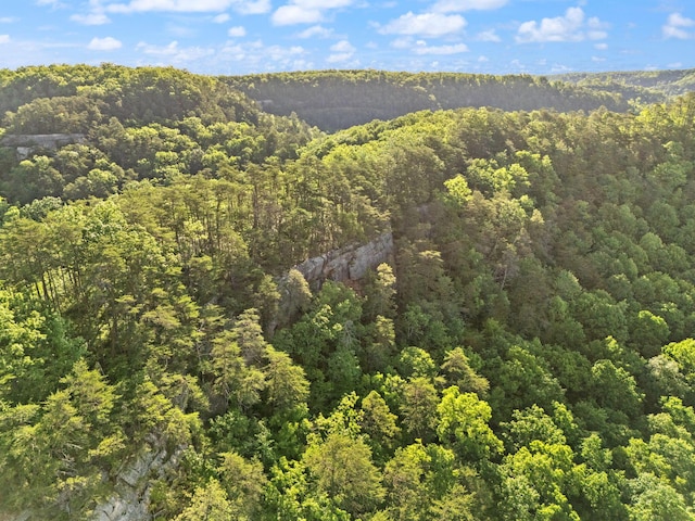 12332 Campton Rd, Stanton, KY 40380