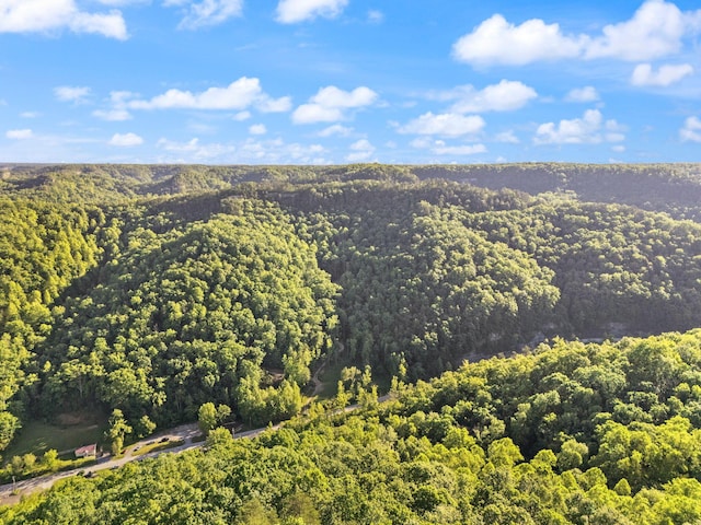 12332 Campton Rd, Stanton, KY 40380