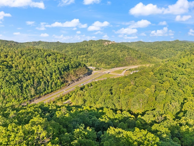 12332 Campton Rd, Stanton, KY 40380