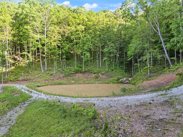 12332 Campton Rd, Stanton, KY 40380