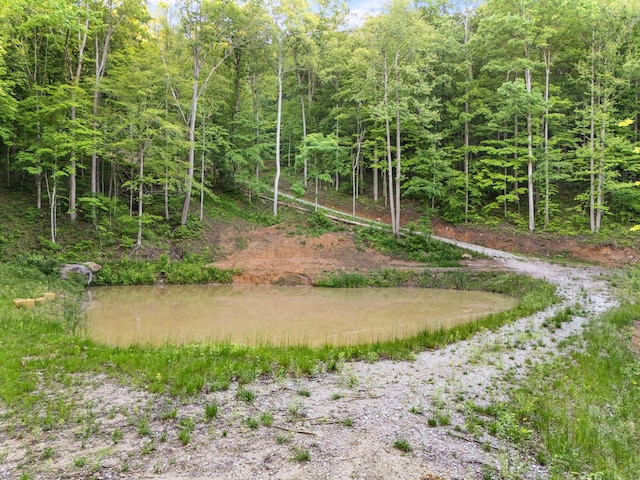 12332 Campton Rd, Stanton, KY 40380