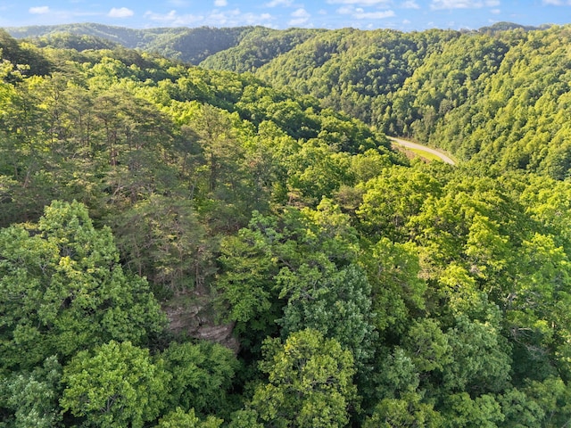 12332 Campton Rd, Stanton, KY 40380