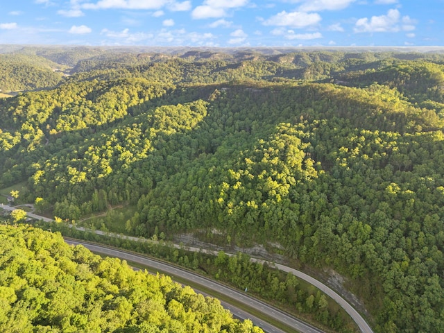 12332 Campton Rd, Stanton, KY 40380