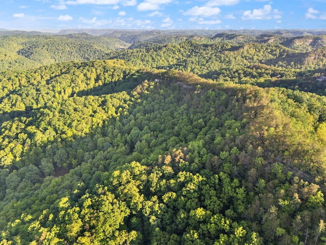 12332 Campton Rd, Stanton, KY 40380