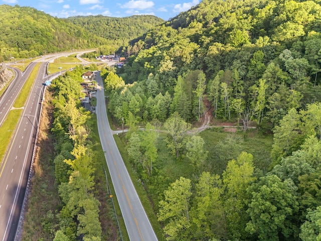 12332 Campton Rd, Stanton, KY 40380