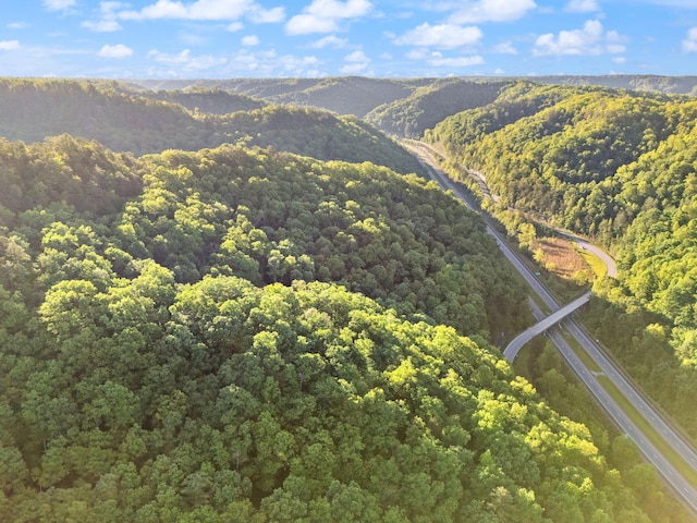 12332 Campton Rd, Stanton, KY 40380
