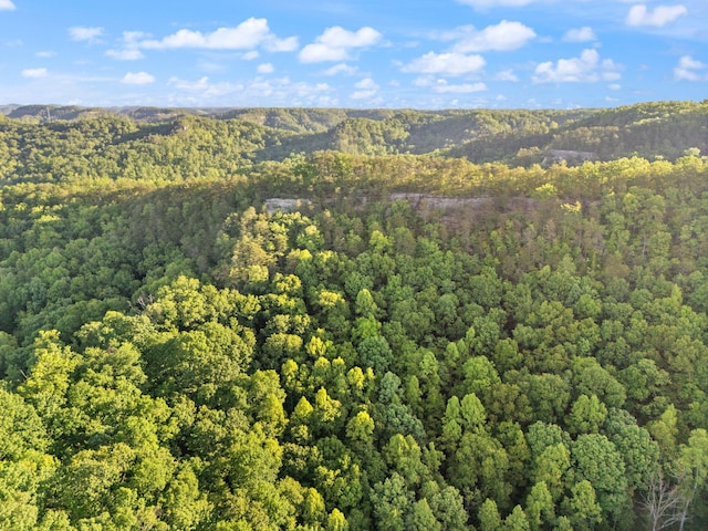 12332 Campton Rd, Stanton, KY 40380