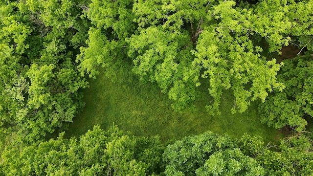 5080 Dry Branch Rd, Lexington, KY 40515 - aerial view