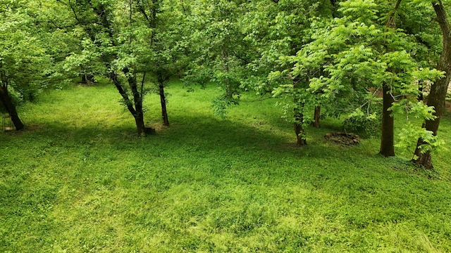 5080 Dry Branch Rd, Lexington, KY 40515 - view of local wilderness