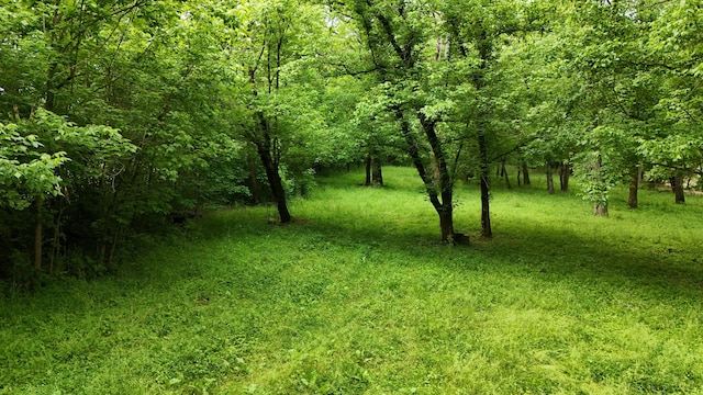 5080 Dry Branch Rd, Lexington, KY 40515 - view of tree filled area