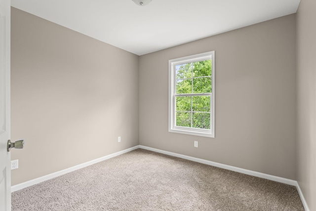 306 Young St, Georgetown, KY 40324 - carpeted empty room with baseboards