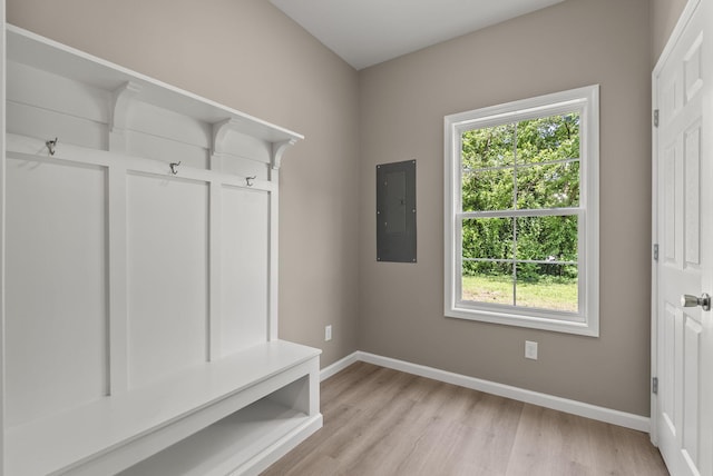 306 Young St, Georgetown, KY 40324 - mudroom featuring electric panel, healthy amount of natural light, and light wood-style floors