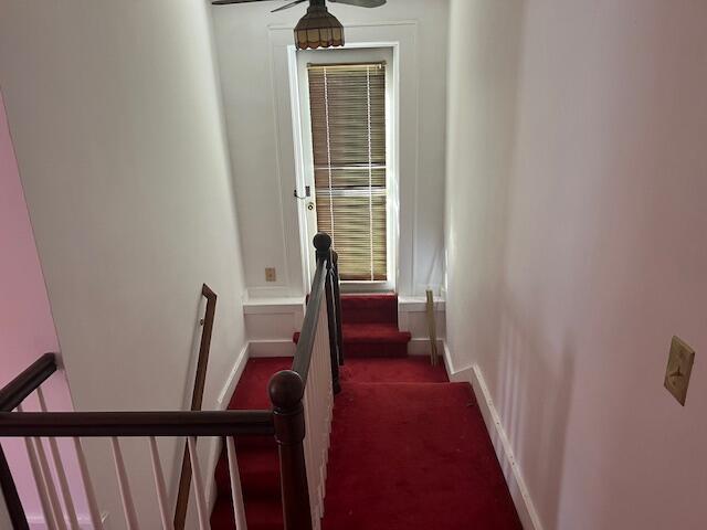 504 Burkesville St, Columbia, KY 42728 - stairway with carpet, baseboards, and a ceiling fan