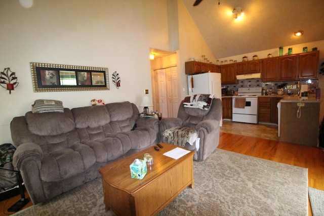 1017 Marshall Park Dr, Georgetown, KY 40324 - living room with light wood-type flooring and high vaulted ceiling