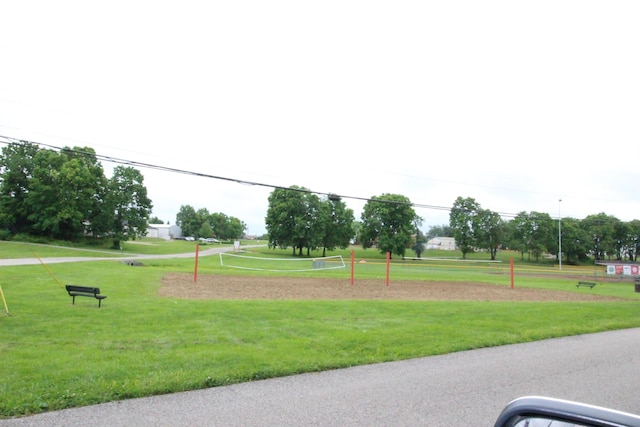 1017 Marshall Park Dr, Georgetown, KY 40324 - surrounding community with volleyball court and a yard