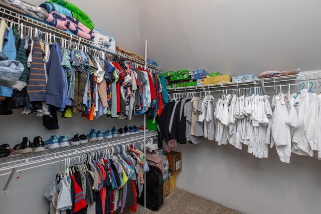 209 Juniper Dr, Nicholasville, KY 40356 - spacious closet featuring carpet floors