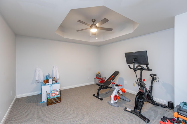 209 Juniper Dr, Nicholasville, KY 40356 - exercise room featuring a tray ceiling, ceiling fan, carpet, and baseboards
