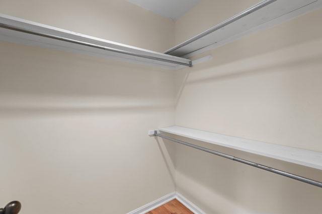 113 Alta Dr, Lawrenceburg, KY 40342 - walk in closet featuring light wood-style floors