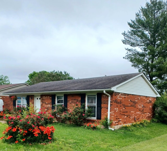 1324 Princeton Ct, Georgetown, KY 40324 - ranch-style house with brick siding and a front yard
