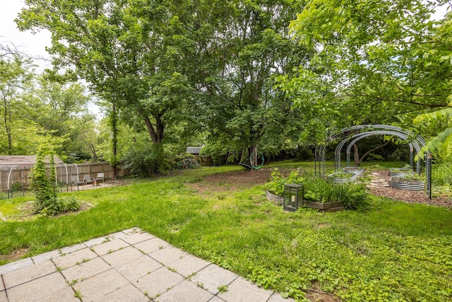 339 Greenbriar Rd, Lexington, KY 40503 - view of yard with a vegetable garden and a patio
