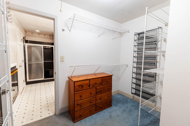 6011 Canonero Way, Versailles, KY 40383 - walk in closet with carpet