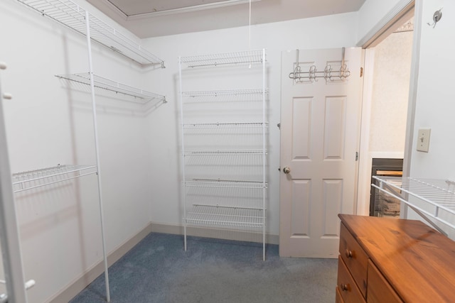 6011 Canonero Way, Versailles, KY 40383 - walk in closet featuring carpet and attic access