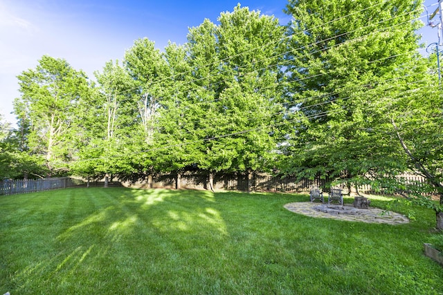 6011 Canonero Way, Versailles, KY 40383 - view of yard