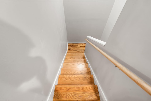 2849 Walnut Hill Rd, Lexington, KY 40515 - stairs featuring wood finished floors and baseboards