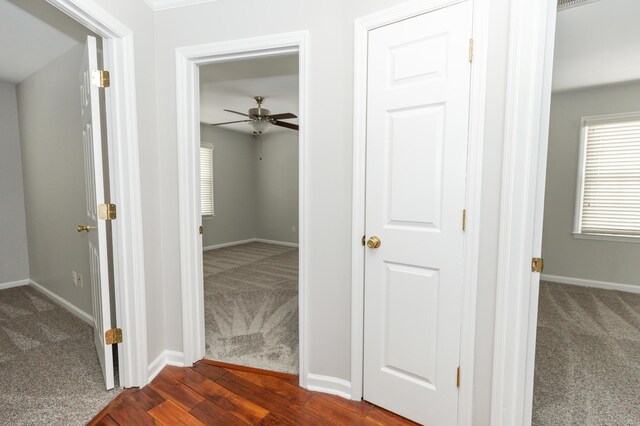 9412 Harrodsburg Rd, Wilmore, KY 40390 - hallway featuring dark colored carpet, baseboards, and plenty of natural light