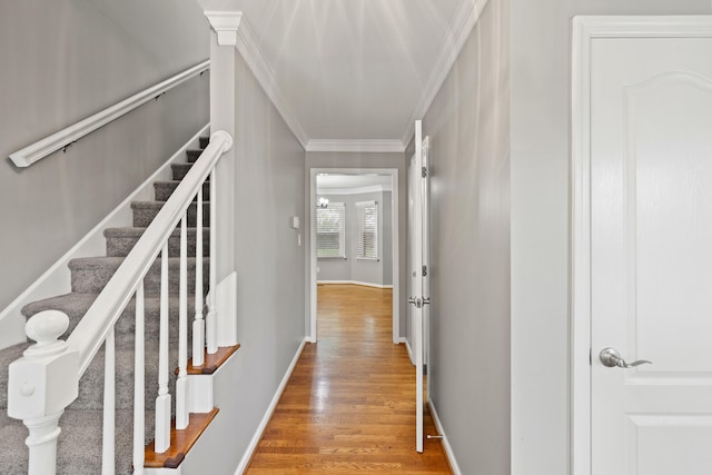 2152 Sallee Dr, Lexington, KY 40513 - hallway featuring crown molding, light wood-type flooring, stairway, and baseboards