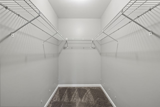 2152 Sallee Dr, Lexington, KY 40513 - spacious closet featuring carpet