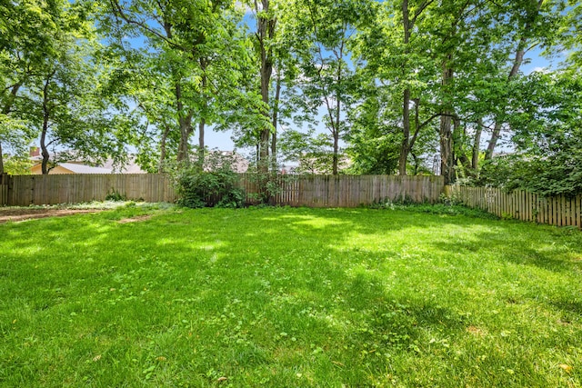 2152 Sallee Dr, Lexington, KY 40513 - view of yard