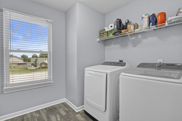 112 Covington Way, Richmond, KY 40475 - washroom featuring dark wood-type flooring, washing machine and clothes dryer, plenty of natural light, baseboards, and a textured ceiling