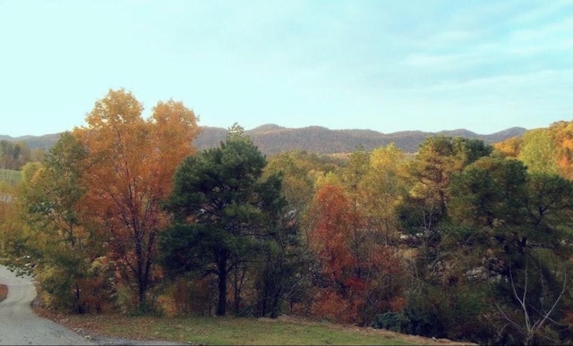12430 E Ky-10, Quincy, KY 41166 - mountain view featuring a heavily wooded area