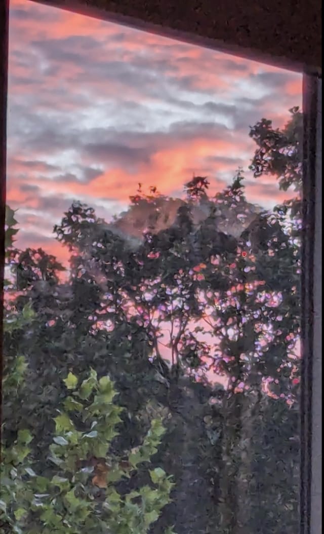 12430 E Ky-10, Quincy, KY 41166 - view of nature at dusk