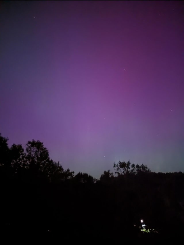 12430 E Ky-10, Quincy, KY 41166 - view of nature at dusk