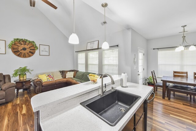 127 Schneider Blvd, Georgetown, KY 40324 - kitchen with a sink, open floor plan, dark wood-style floors, healthy amount of natural light, and high vaulted ceiling