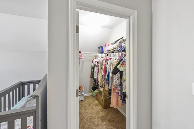 127 Schneider Blvd, Georgetown, KY 40324 - walk in closet with carpet floors and vaulted ceiling