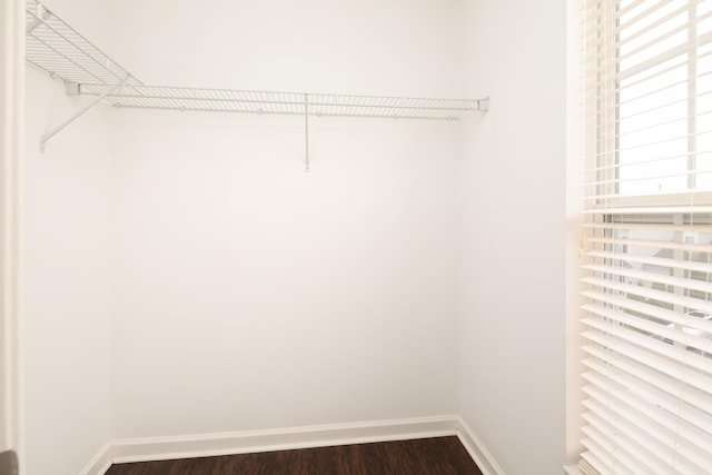 2429 Aristocracy Cir, Lexington, KY 40509 - walk in closet featuring dark wood-style flooring