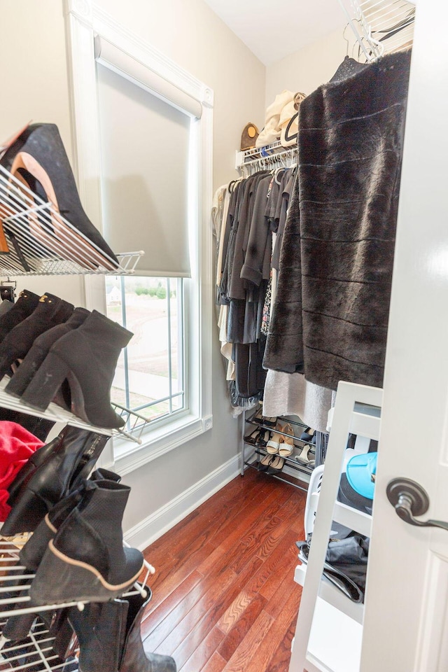 809 Muirfield Trl, Richmond, KY 40475 - walk in closet featuring wood finished floors