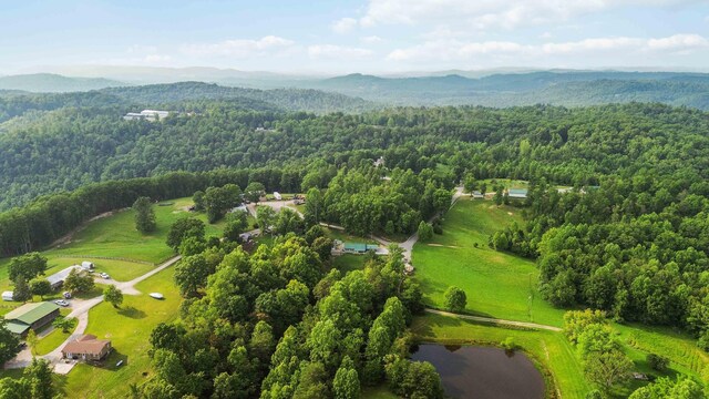 5830 Old Keno Rd, Burnside, KY 42519 - drone / aerial view of a forest and a water and mountain view