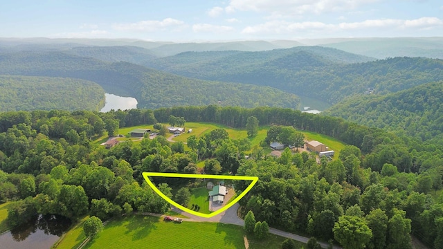 5830 Old Keno Rd, Burnside, KY 42519 - view of property location with property boundaries highlighted and a forest