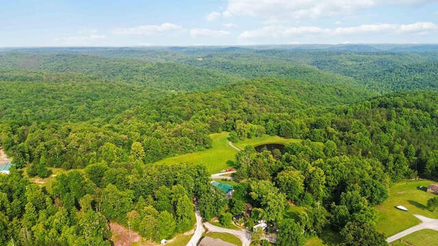 5830 Old Keno Rd, Burnside, KY 42519 - aerial view of a forest