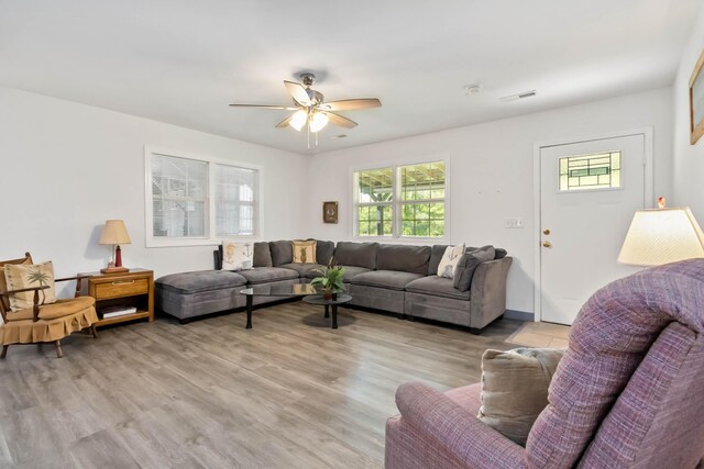 5830 Old Keno Rd, Burnside, KY 42519 - living room featuring healthy amount of natural light, a ceiling fan, and light wood finished floors