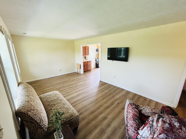 127 Circle St, London, KY 40744 - living area featuring light wood-type flooring
