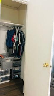 127 Circle St, London, KY 40744 - view of closet