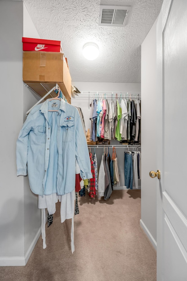 408 Joseph Bryan Way, Lexington, KY 40514 - spacious closet with carpet flooring